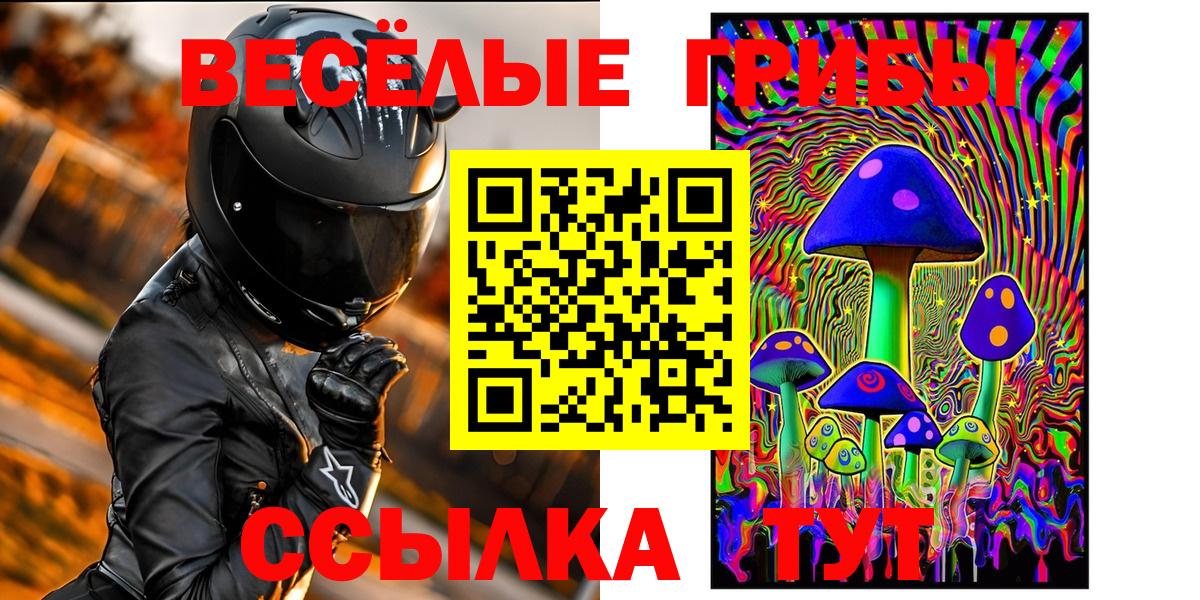 Псилоцибиновые грибы Cubensis Ачинск