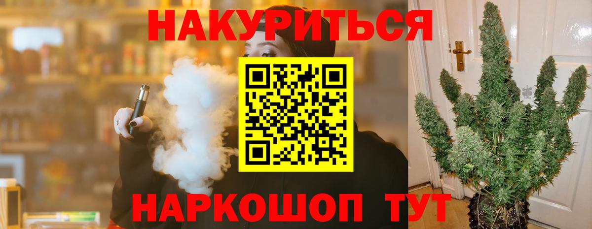 Бошки Шишки планчик Ачинск